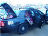 Stuff-a-Cruiser