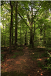 Heather Hills Park 10