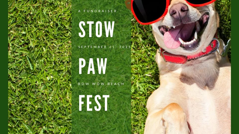 Paw Fest