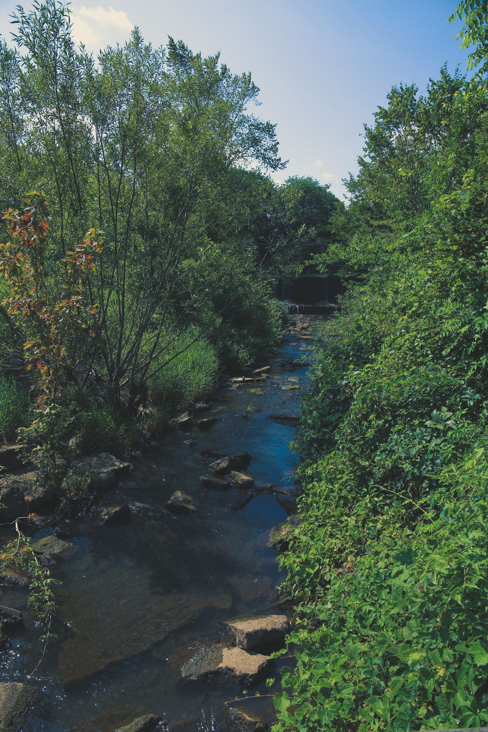 Meadowbrook Lake Neighborhood Park 5