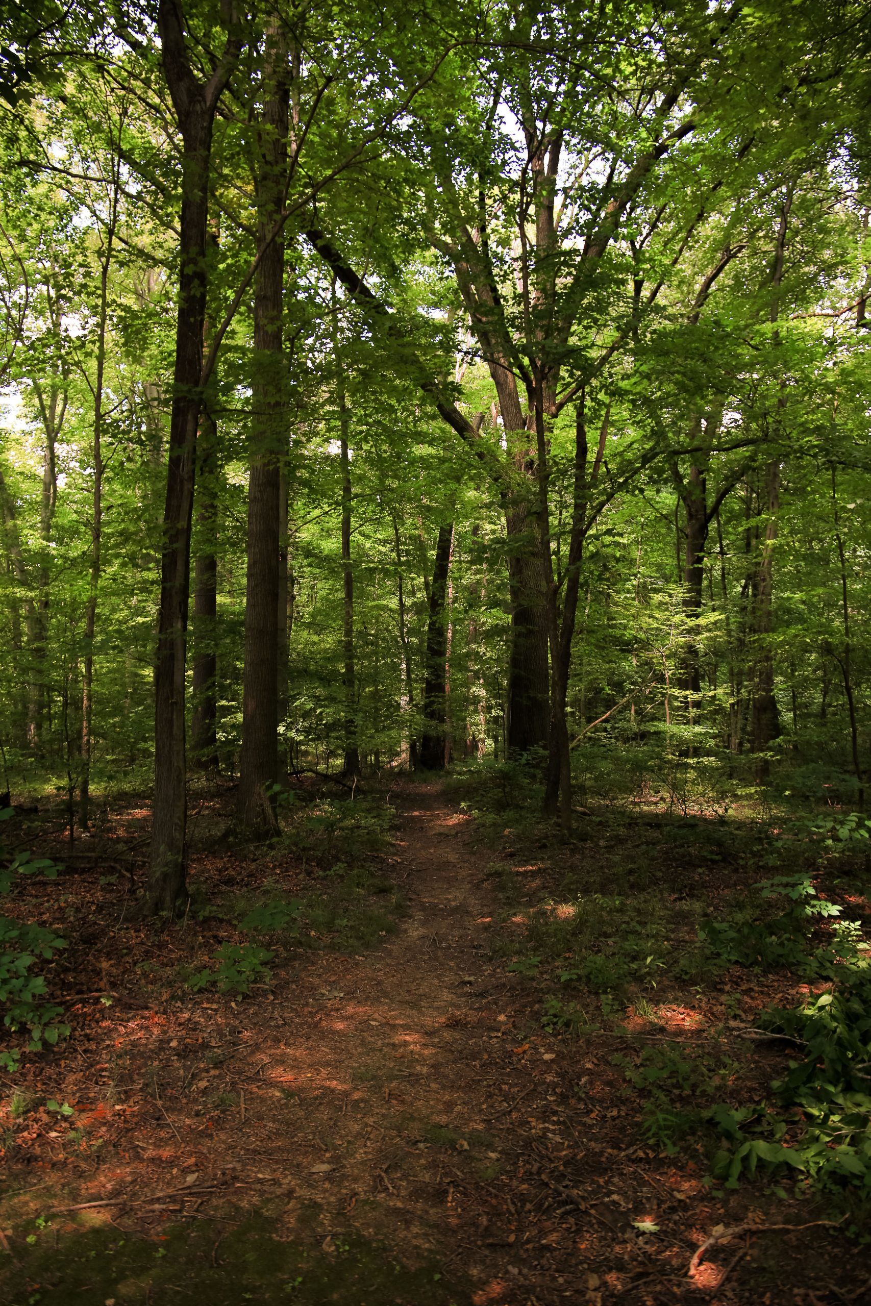 Heather Hills Neighborhood Park 10