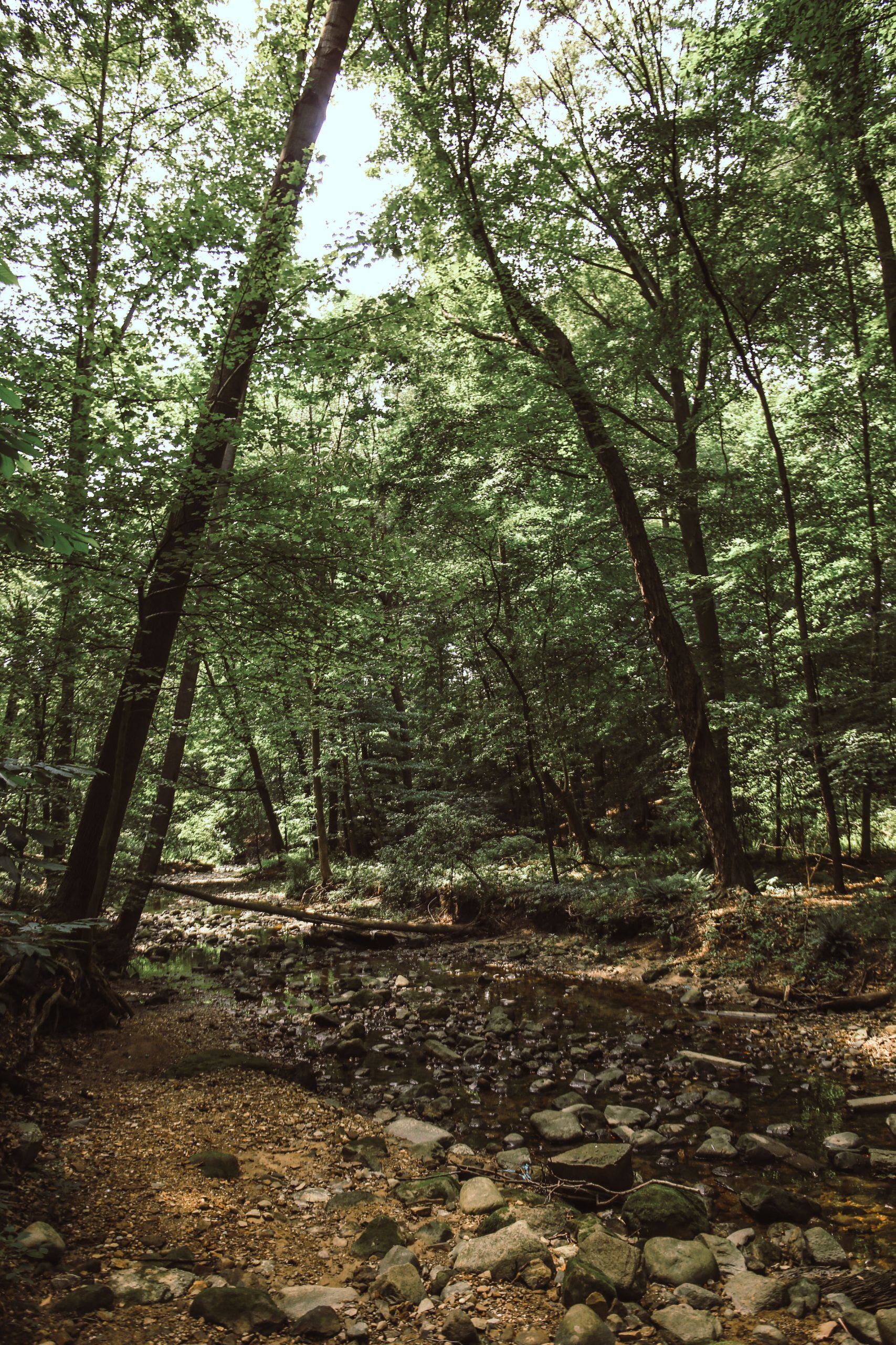 Adell Durbin Park 6