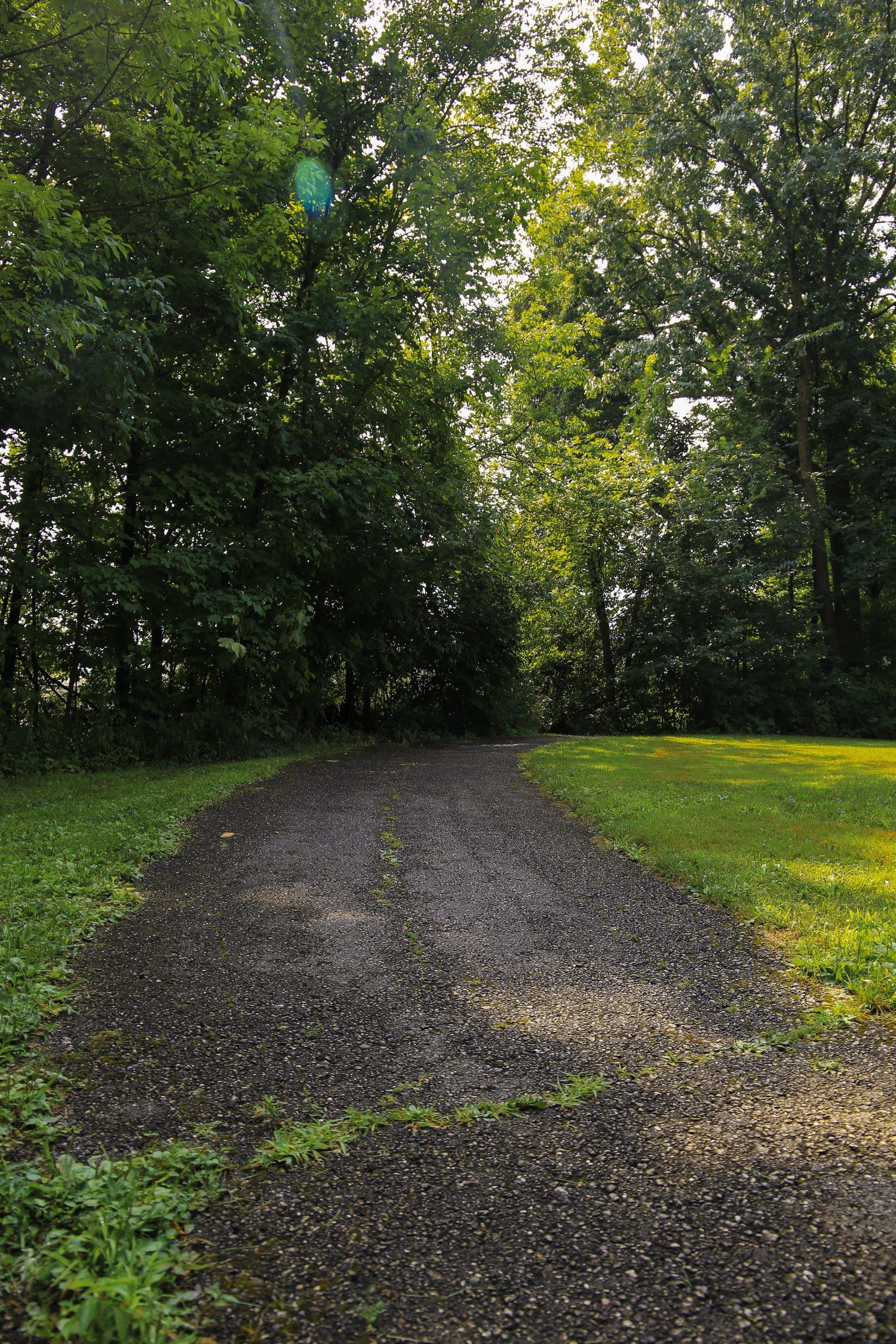 Crestdale Park 11