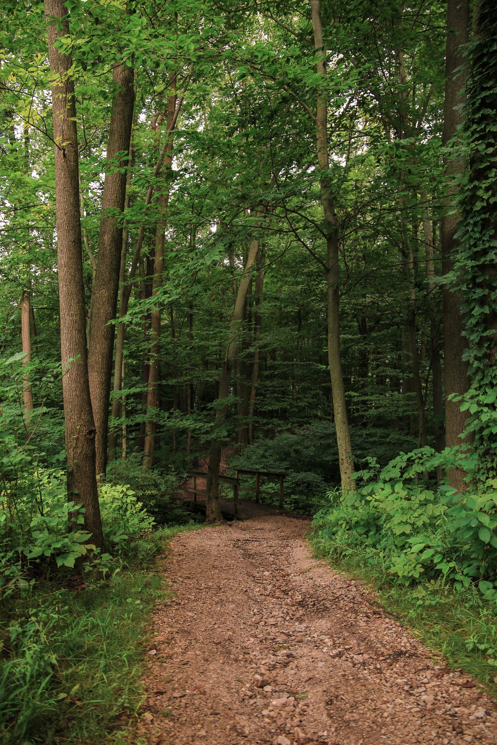 Crestdale Park 9
