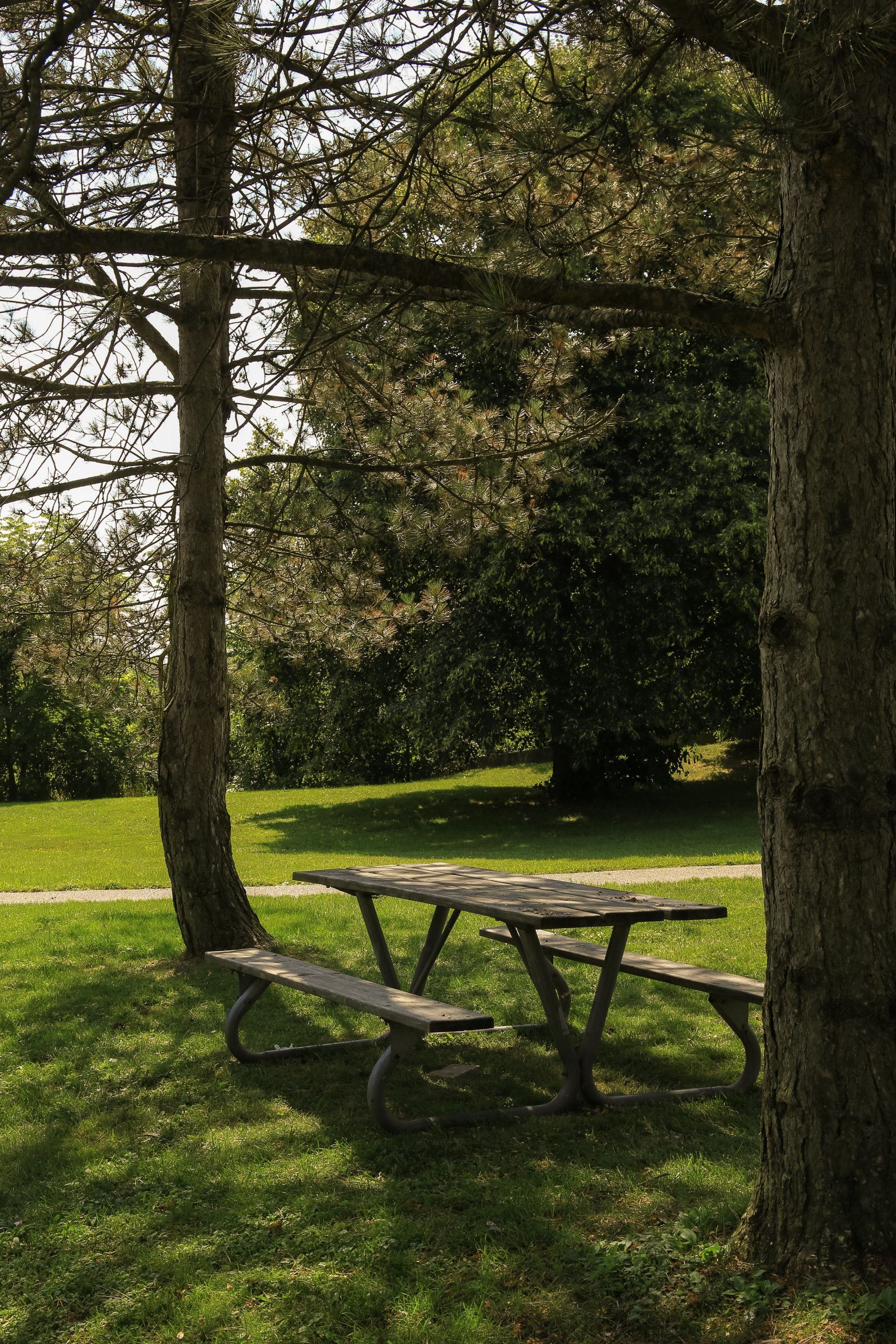Meadowbrook Lake Park 15