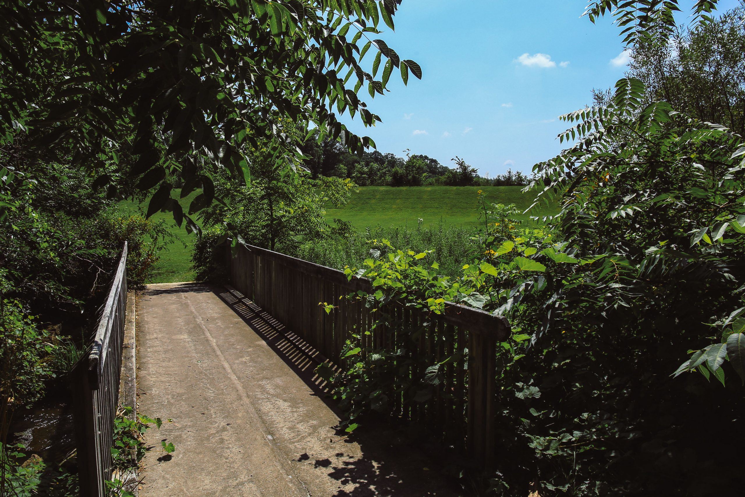 Meadowbrook Lake Park 4