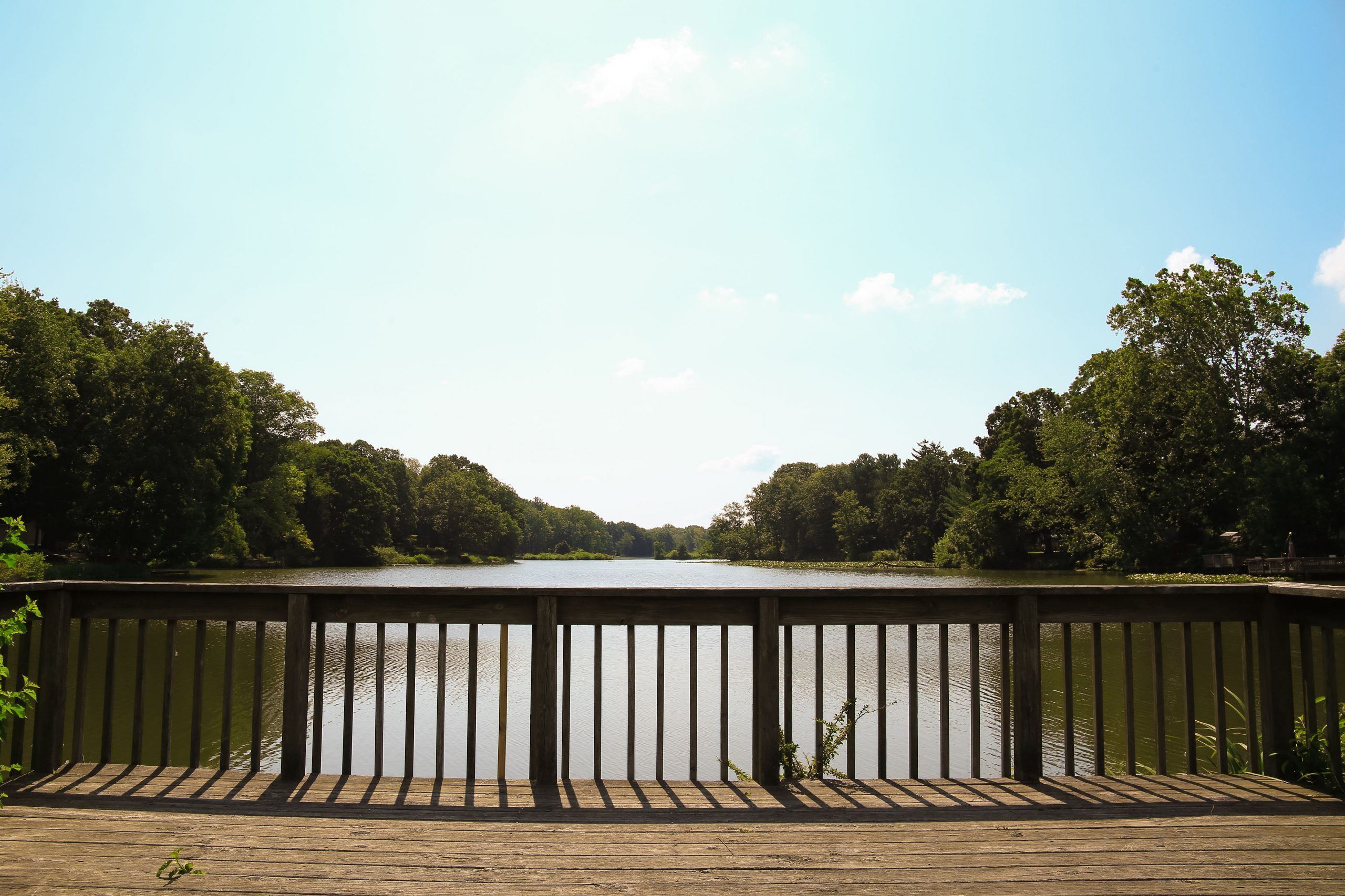 Meadowbrook Lake Park 5
