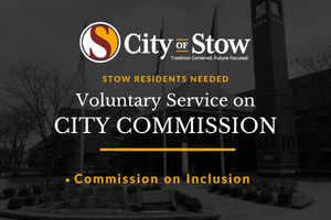 Commission on Inclusion Call for new member