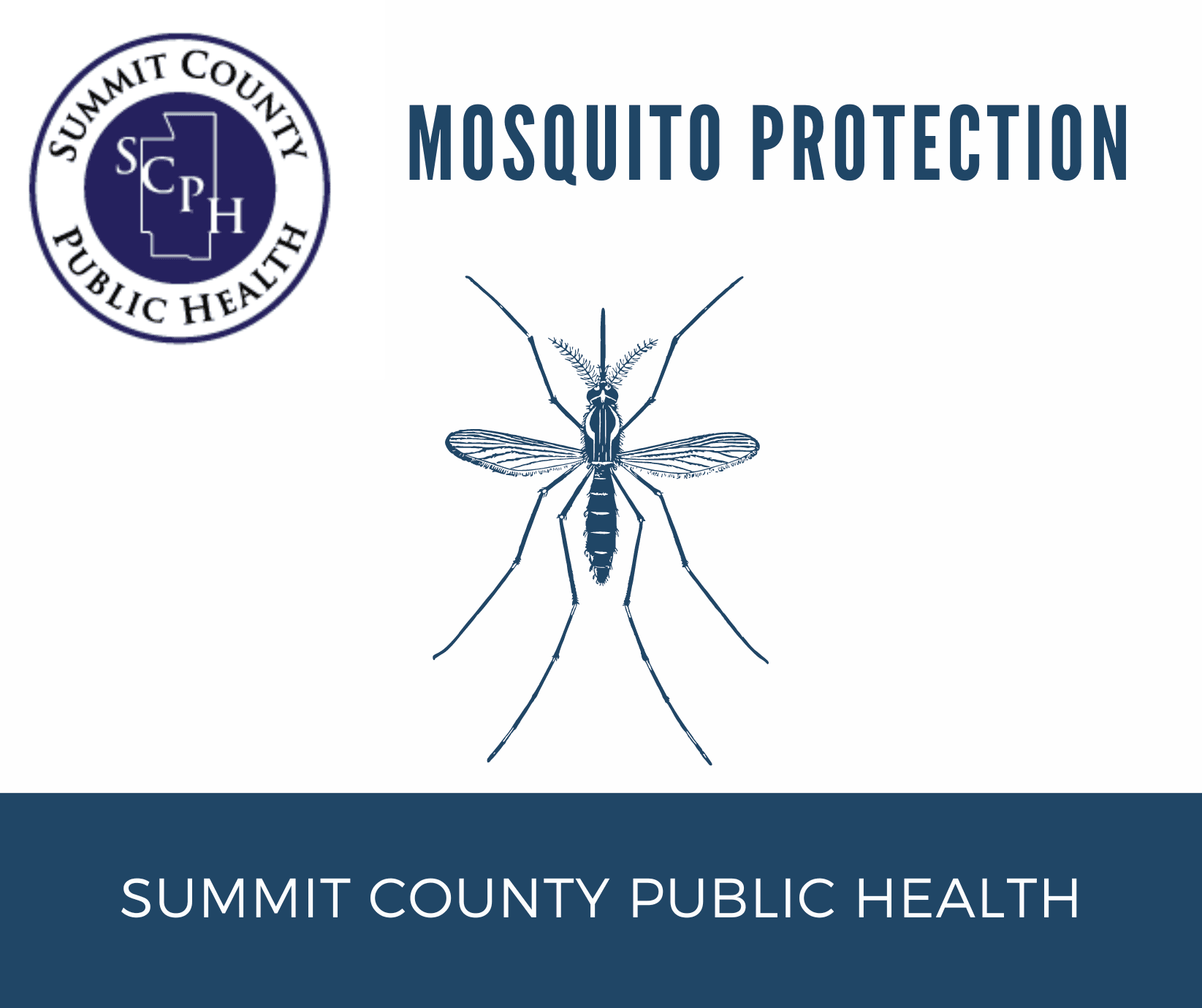 Teal and White Mosquito World Malaria Day Poster (2)