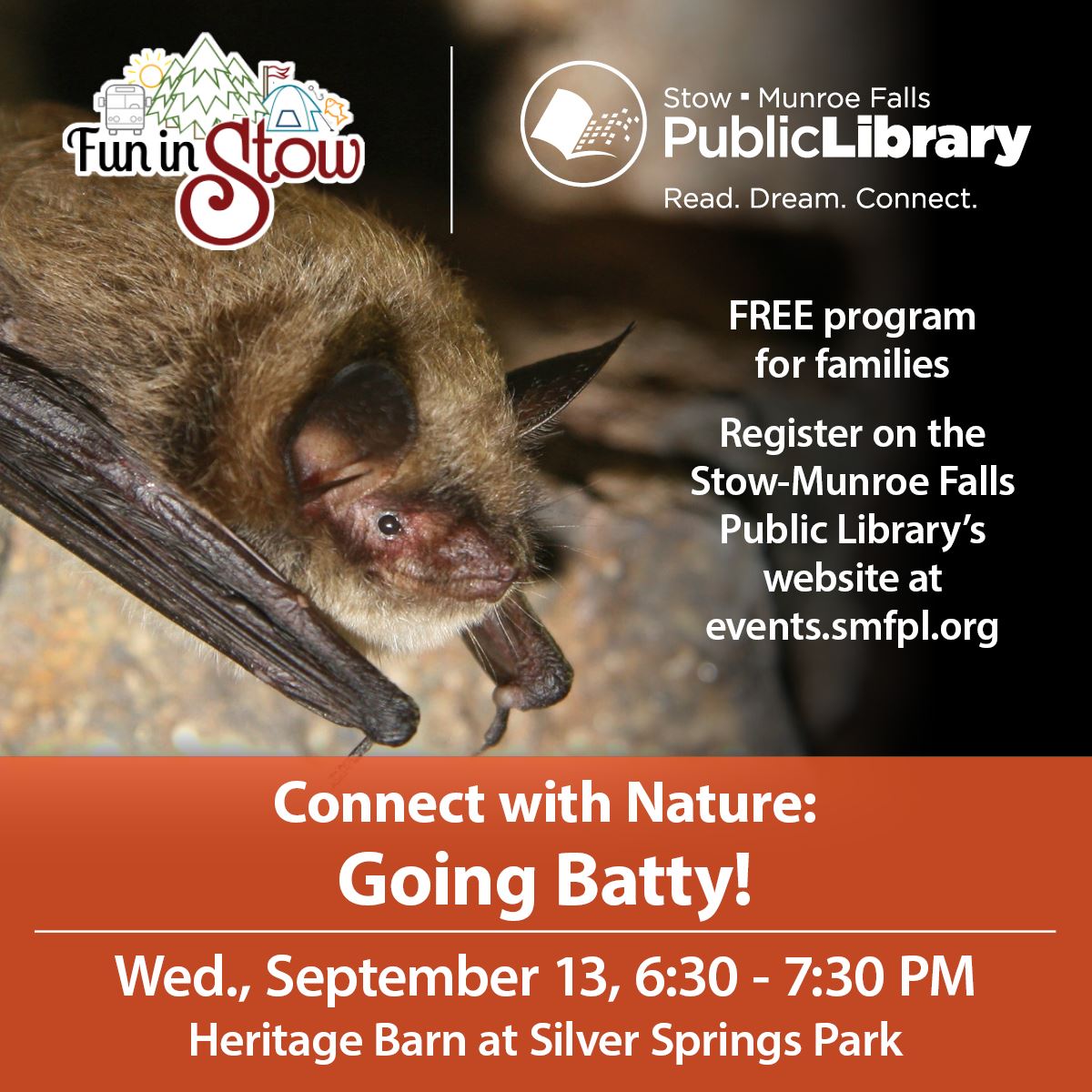 Going Batty